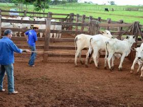 ABCZ promove 1º Curso de Capacitação de Supervisores do PMGZ