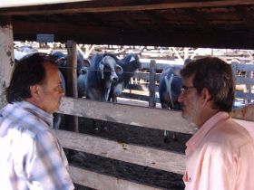 Pró-Genética presente na temporada mineira de touros 