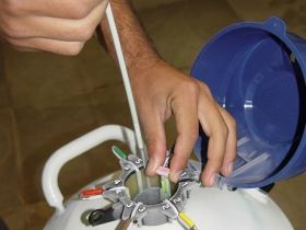 Agrocurso apresenta aulas sobre inseminação artificial neste fim de semana 