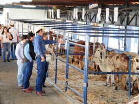 Abertas inscrições de animais para a 5ª ExpoGenética