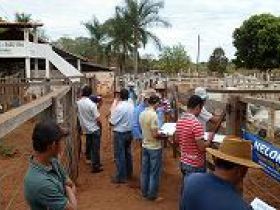 Calendário do Pró-Genética em Minas traz oito feiras em junho