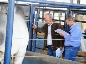 ABCZ divulga programação técnica da ExpoGenética 2012