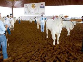 Aluno de Zootecnia da FAZU já atua como jurado auxiliar das raças zebuínas 