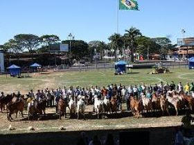 Definidos jurados do Gir Leiteiro para MEGALEITE 2012