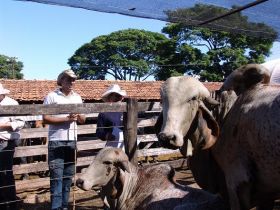 ABCZ faz apresentação do Pró-Genética durante reunião da ASBRAER