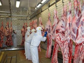 ABCZ participa de reunião sobre concentração da indústria frigorífica