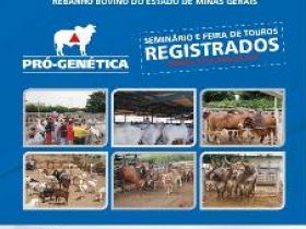 Pró-Genética: Agricultura familiar de Minas terá mais de 2 mil touros até o fim do ano