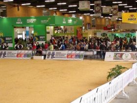 ABCZ participa da 65ª Feria Nacional Cebú na Colômbia