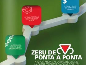 ABCZ e ACGZ promovem Fórum ?Zebu de Ponta a Ponta? durante Expointer