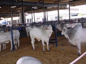 Inscrições para PNAT 2012 vão até quinta