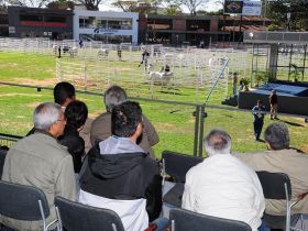 FAZU participa da 5ª ExpoGenética