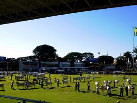 ABCZ divulga data oficial da 79ª ExpoZebu 
