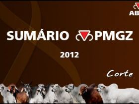 PMGZ disponibiliza versão desktop do Sumário 2012