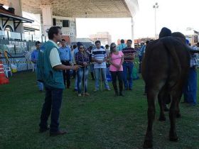 Inscrições abertas para o 67º Curso de Julgamento da ABCZ