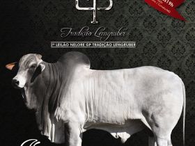 ABCZ chancela leilão do Pró-Genética em Curvelo