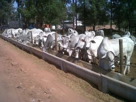 ABCZ acompanha finalização de Prova de Desempenho