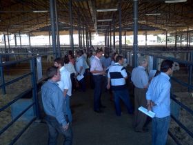 Começa distribuição de sêmen de touros do PNAT