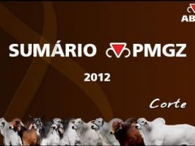 Versão completa do PMGZ ganha novas funcionalidades e atrai adeptos