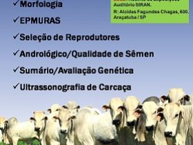 Abertas inscrições para Curso de Seleção de Reprodutores