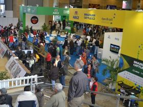 Projeto Brazilian Cattle registra boom de exportações em 2012