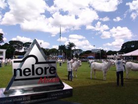 Expoinel Minas abre calendário de exposições no Parque Fernando Costa
