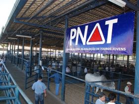 PNAT abre inscrições e registra balanço positivo em três edições