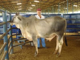 PGPs da Estância ?Orestes Prata Tibery Jr.? entram na reta final