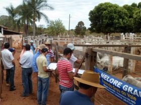 Rio Grande do Norte prestes a sediar primeira feira do Pró-Genética