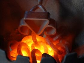 Primeiros clones de tabapuã serão registrados amanhã na ABCZ