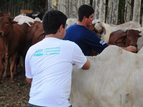 Atividades práticas são priorizadas pelo curso de Zootecnia da FAZU 