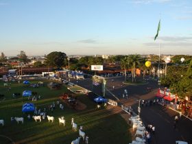 Parque Fernando Costa tem licença ambiental aprovada pelo COPAM