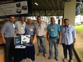 Feira do Pró-Genética em Uberlândia vai até amanhã