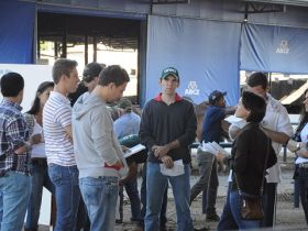 Alunos da FAZU terão aulas práticas direto da ExpoZebu 2013 