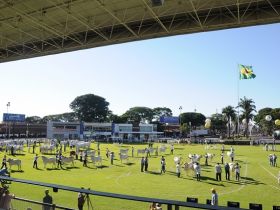 Seleção fundamentada em pistas de julgamento será tema de fórum