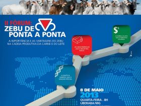 ExpoZebu: Zebu de Ponta a Ponta apresenta vantagens das raças zebuínas