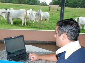 Encontro do PMGZ será realizado em Belo Horizonte   