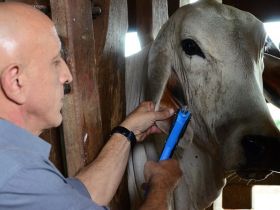 ABCZ treinará técnicos para dar início a Banco de DNA