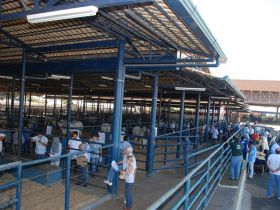 PNAT 2013 tem mudanças em regulamento