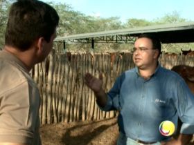 ABCZ divulga vencedores do Prêmio ABCZ de Reportagem