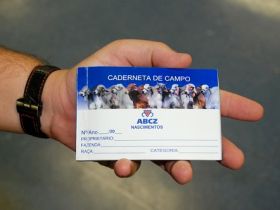 ABCZ disponibilizará gratuitamente caderneta para Escrituração Zootécnica