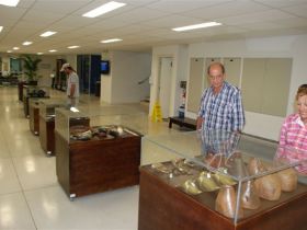 Museu do Zebu abre mostra de histórias das fazendas