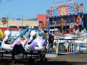 Preparativos para 79ª ExpoZebu movimentam parque