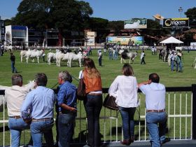 Associações promocionais promovem ações na ExpoZebu