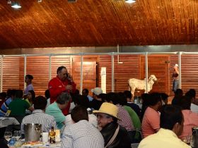 Remates da 79ª ExpoZebu comercializam mais de R$9,5 milhões