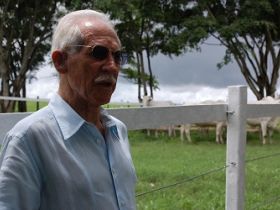 Raça nelore perde importantes selecionadores de Alagoas