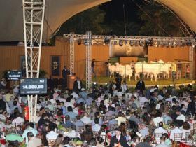 Leilões da ExpoZebu movimentam quase R$ 29 milhões