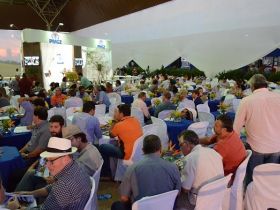 ExpoZebu já tem grandes campeãs do Concurso Leiteiro