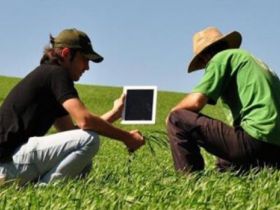 Recursos de Custeio Antecipado disponíveis no BB