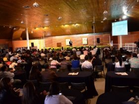 Fórum debate mercado da carne e do leite de zebu