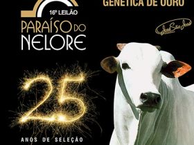 PMGZ oficializa leilão de nelore no Tocantins